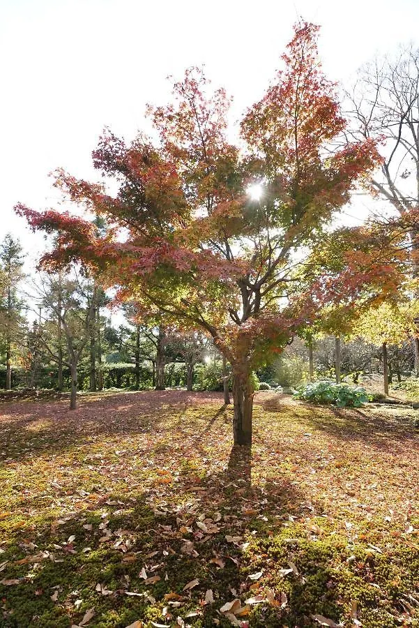 Japaning Senkyu Villa Kyoto