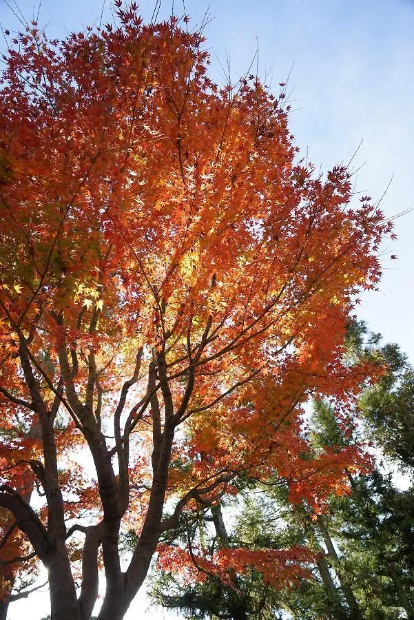Holiday home Japaning Senkyu Villa Kyoto