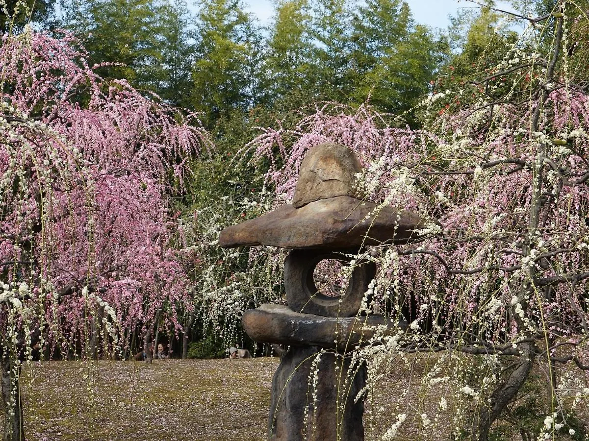 Japaning Senkyu Villa Kyoto Japan